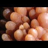 image016.jpg